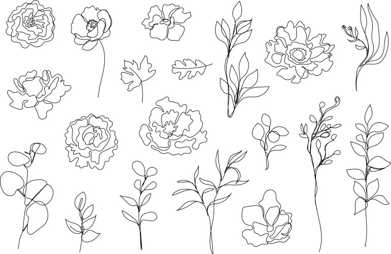 Hand drawn outline floral elements set collection Vector Image