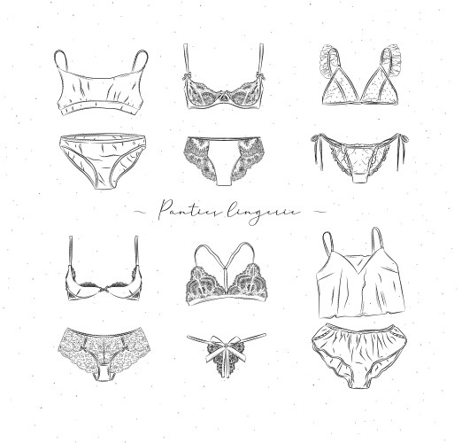 lingerie set collection vector image vector image