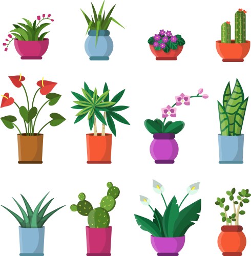 Houseplants in Pots - Floral Collection Vector Image