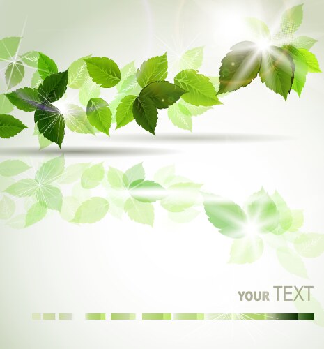 Green leaves Royalty Free Vector Image - VectorStock