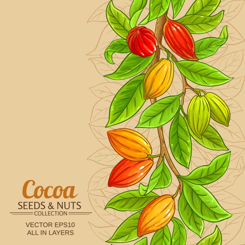 Cocoa branches pattern on color background vector image