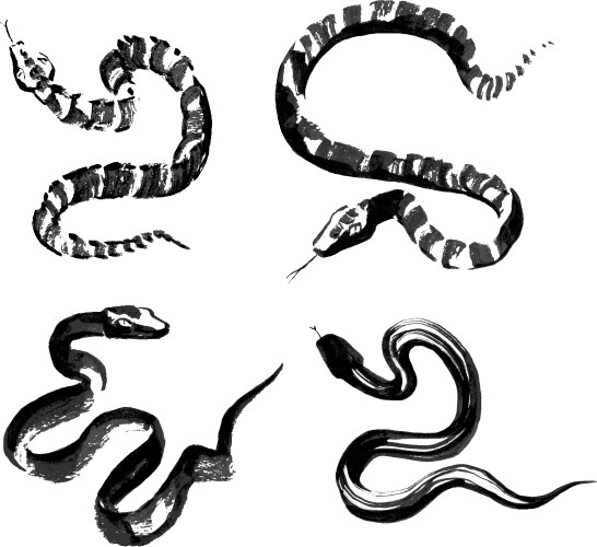 Snake Trace Vector Images (over 200)