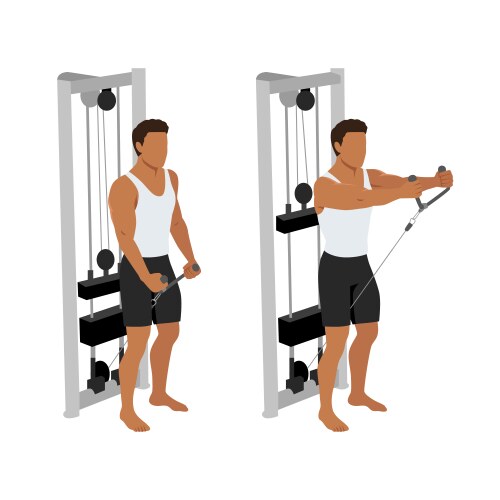 Man doing dumbbell front raise exercise Royalty Free Vector
