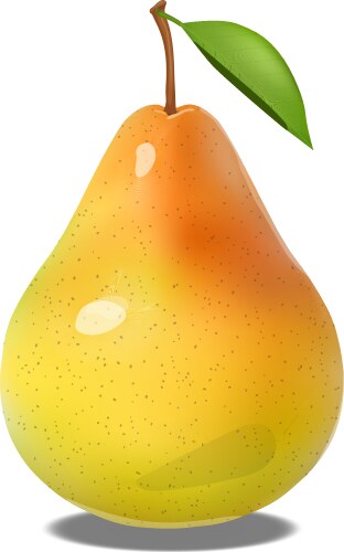 Realistic green ripe pear healthy food Royalty Free Vector