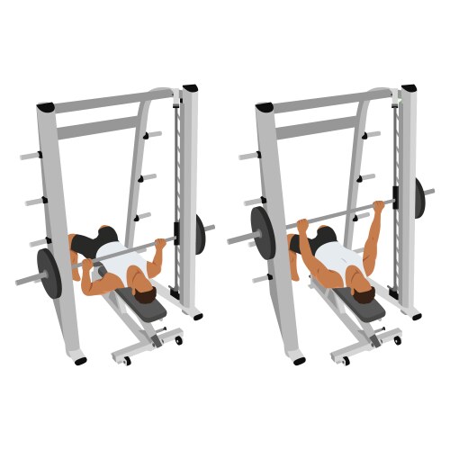 Incline barbell bench press exercise Royalty Free Vector