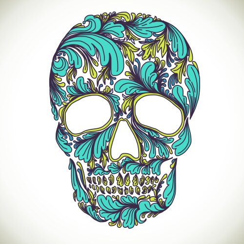 with hand drawn skull vector image