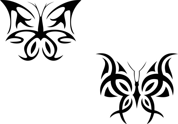 Tattoo butterfly vector image