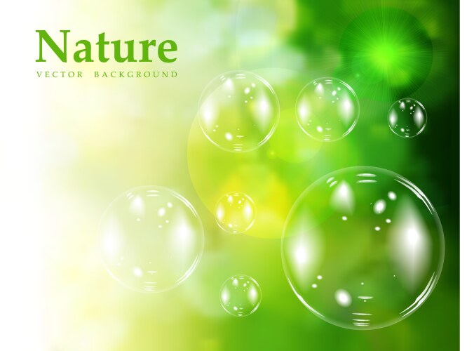 Transparent soap bubbles Royalty Free Vector Image