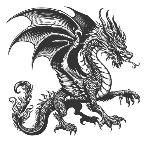 Detailed Fantasy Dragon Sketch Vector Image