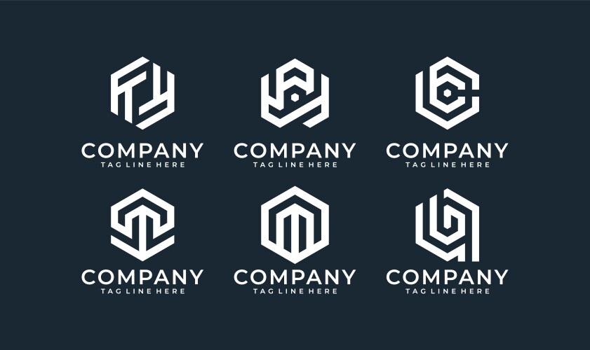 Hexagon Logo Collection Vector Image