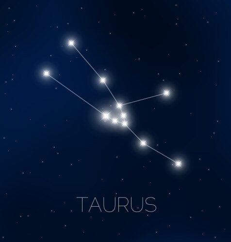 taurus constellation in night sky vector