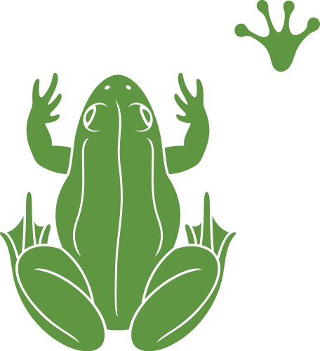 Green frog vector image