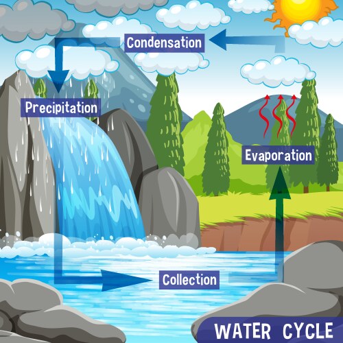 Science of water cycle Royalty Free Vector Image