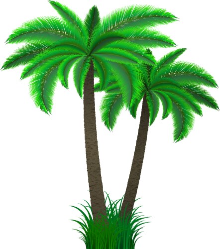 Palm trees set Royalty Free Vector Image - VectorStock