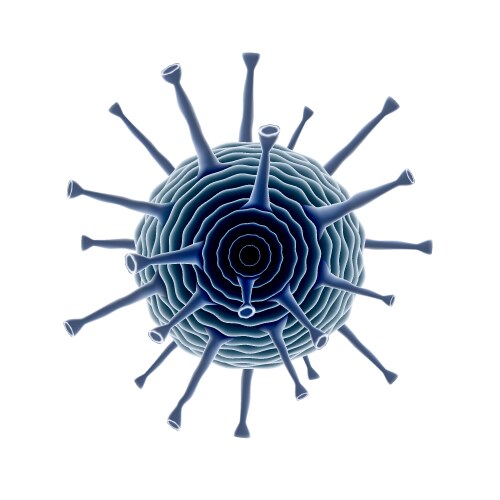 Human immunodeficiency virus hiv with text Vector Image