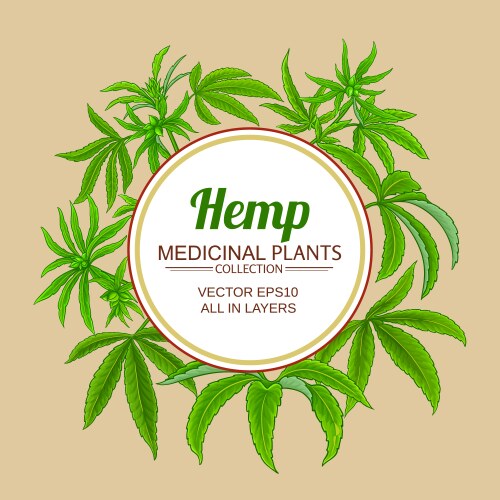 hemp plant frame on color background vector image