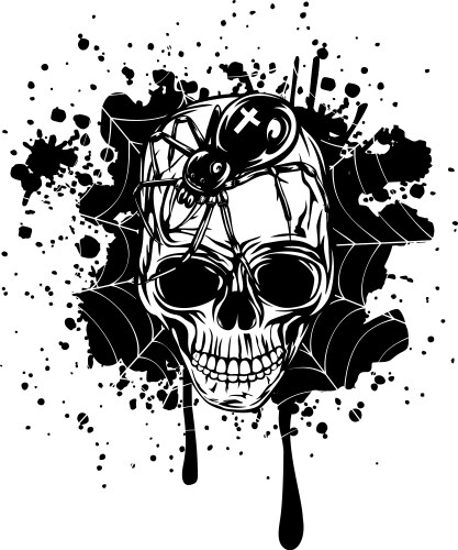 Skull with Spider and Web Vector Image