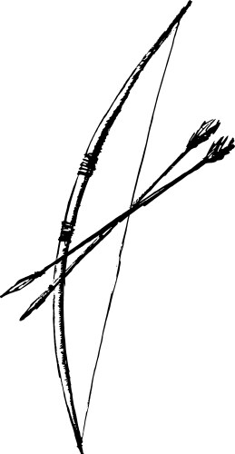 Cartoon Bow and Arrow Sketch Vector Image