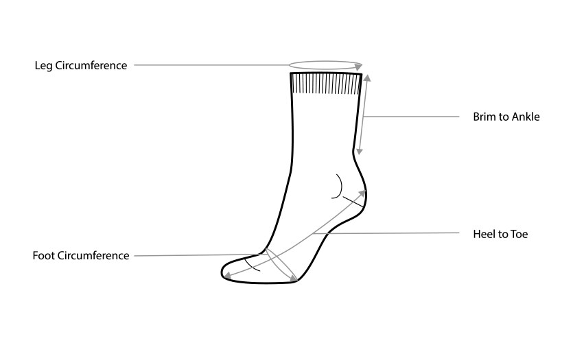 Diagrams of sock measurements with text names vector image