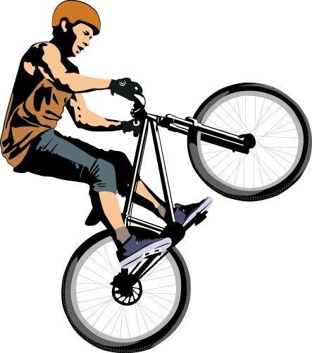 Cycling bmx Royalty Free Vector Image - VectorStock