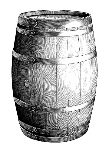 antique engraving oak barrel hand drawing vector image vector image