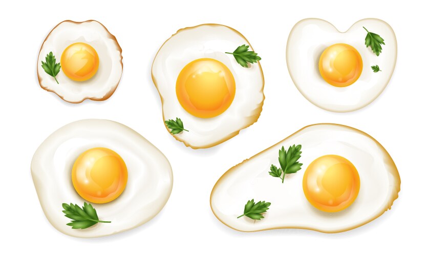 Fried chicken eggs Royalty Free Vector Image - VectorStock