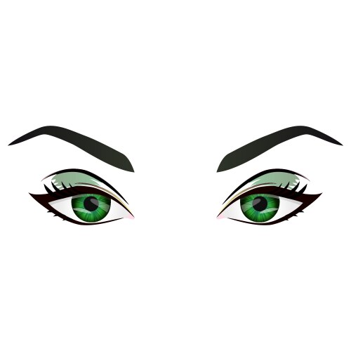 Close-Up Female Green Eyes Vector Image