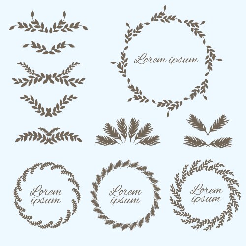 set flower ornament design elements vector image