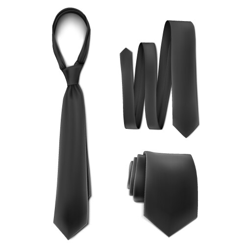 Mock up black set necktie vector image