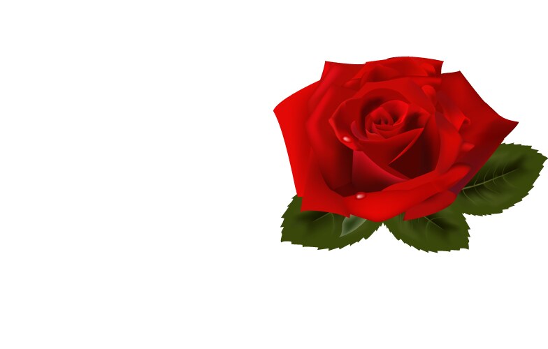 Red roses with a heart-shaped happy mothers day Vector Image