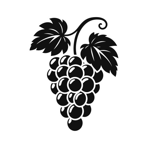 Artistic black and white grape silhouette Vector Image