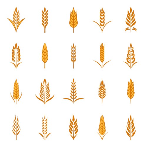 Flat agriculture wheat icon set isolated vector image