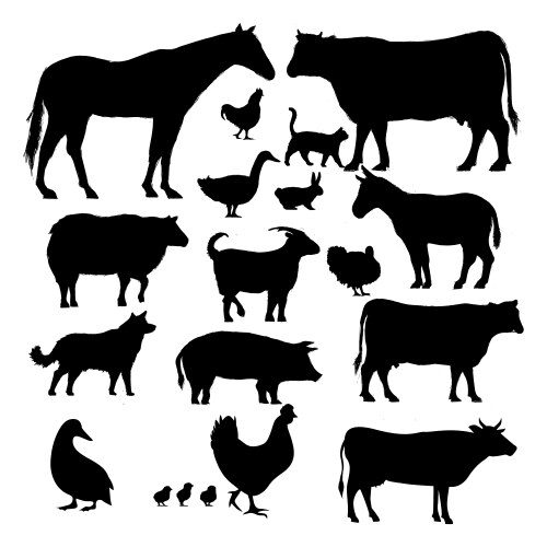 Domestic animals Royalty Free Vector Image - VectorStock