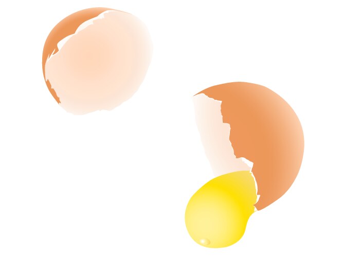 broken egg vector image