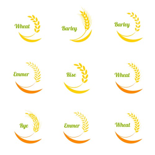 Set of simple wheat ears icons Royalty Free Vector Image