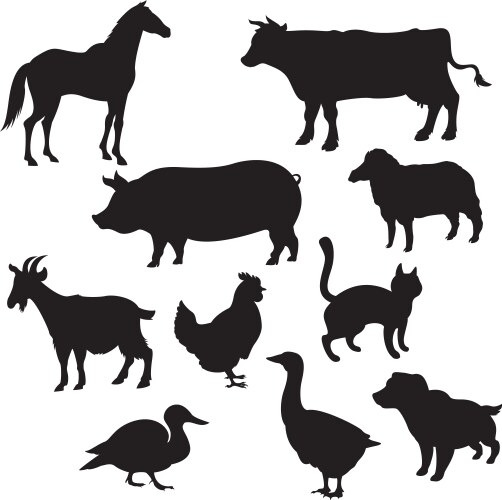 Domestic Animal Silhouettes Vector Image