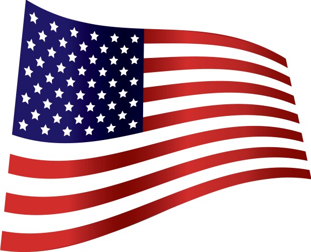 American Flag Wave Vector Image
