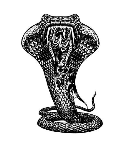 cobra snake in vintage style serpent or python vector image vector image