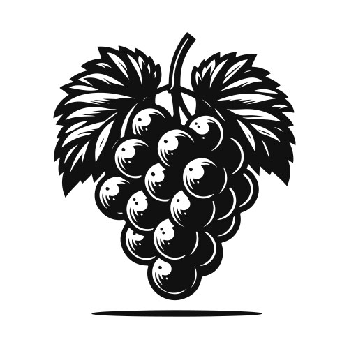 Black and white grape with minimalist design Vector Image
