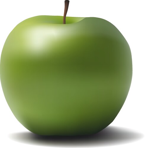 apple vector