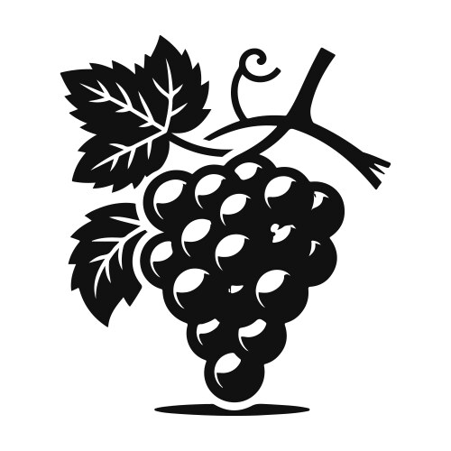 Flat silhouette grape art in black and white Vector Image