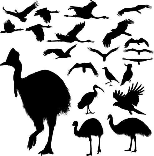 Turkey cock bird poultry animal silhouette Vector Image