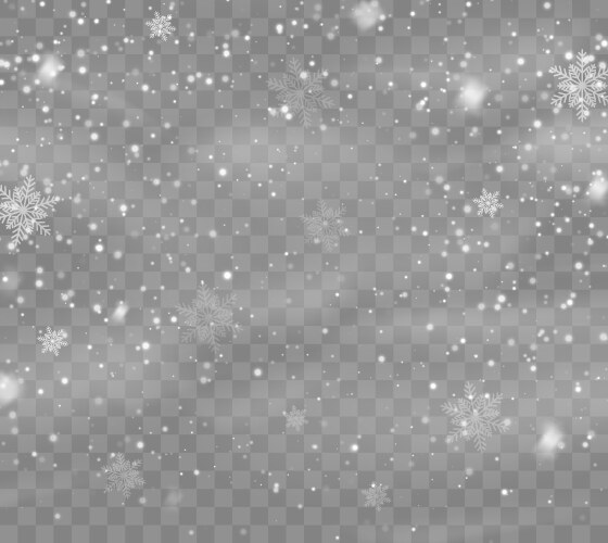 Snow Overlay Vector Winter and snow Royalty Free Vector Image - VectorStock