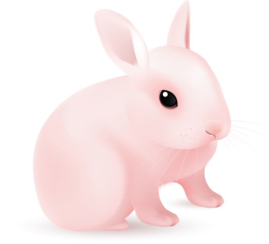 Cute easter rabbit Royalty Free Vector Image - VectorStock