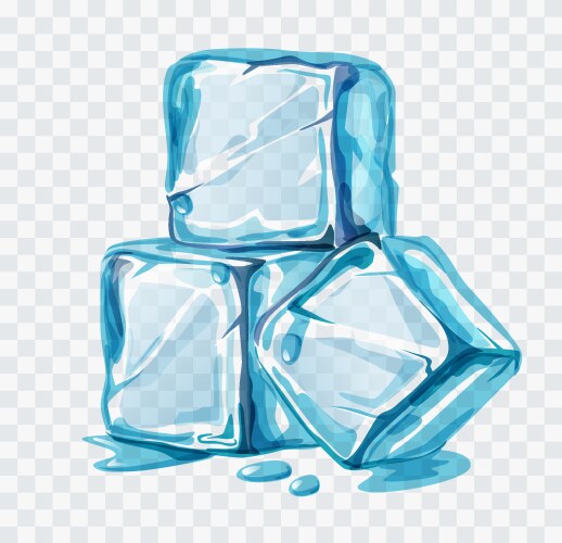 ice cubes vector image