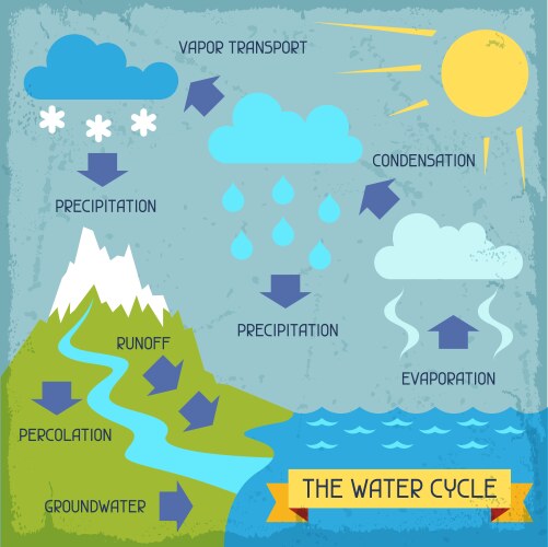 water cycle poster with nature infographics vector