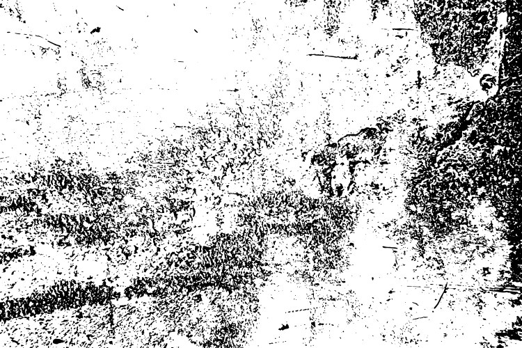 Grunge Texture Overlay Vector Image