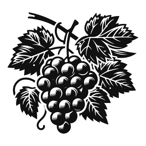 Flat silhouette grape art in black and white Vector Image