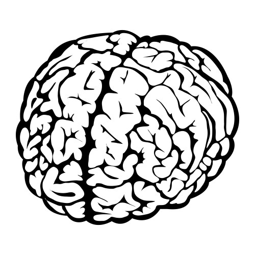 Stylish black and white icon human brain Vector Image