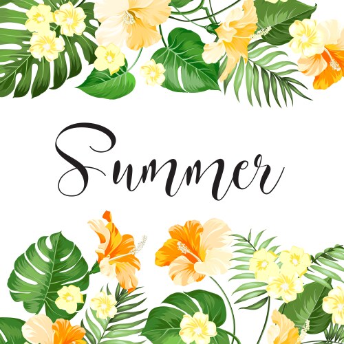 Tropical Summer Sale Card Vector Image